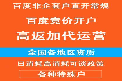 实战经验：竞价推广公司成功案例解析